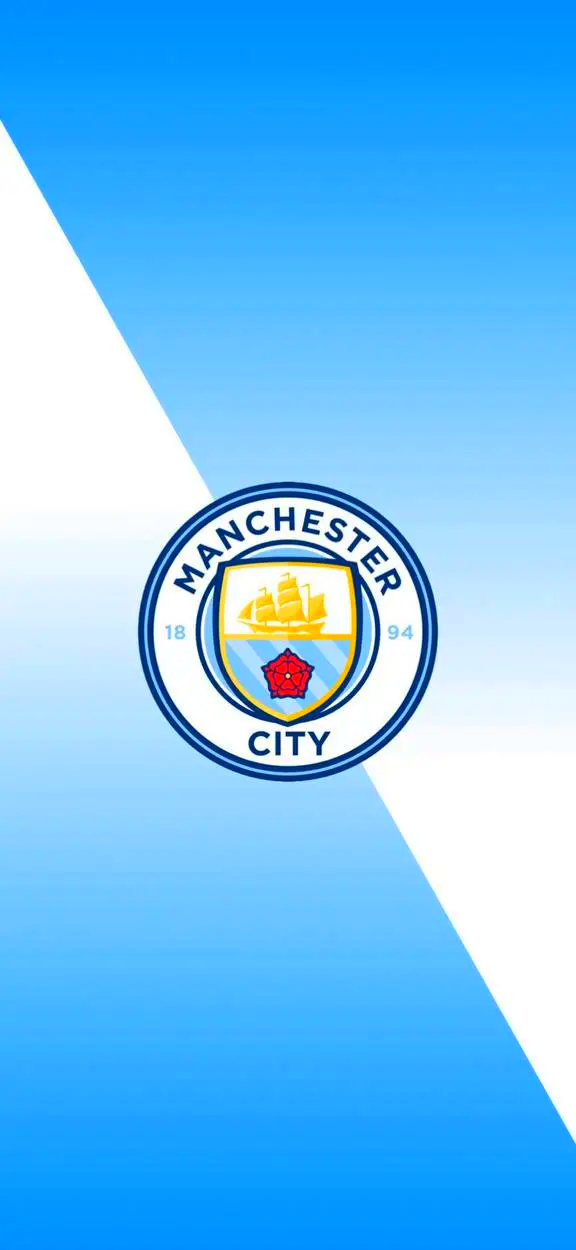 英媒：费迪南德称卢克-肖在曼联有重要地位，他需要证明自己（英媒：费迪南德认为卢克-肖在曼联举足轻重，但仍需自我证明）